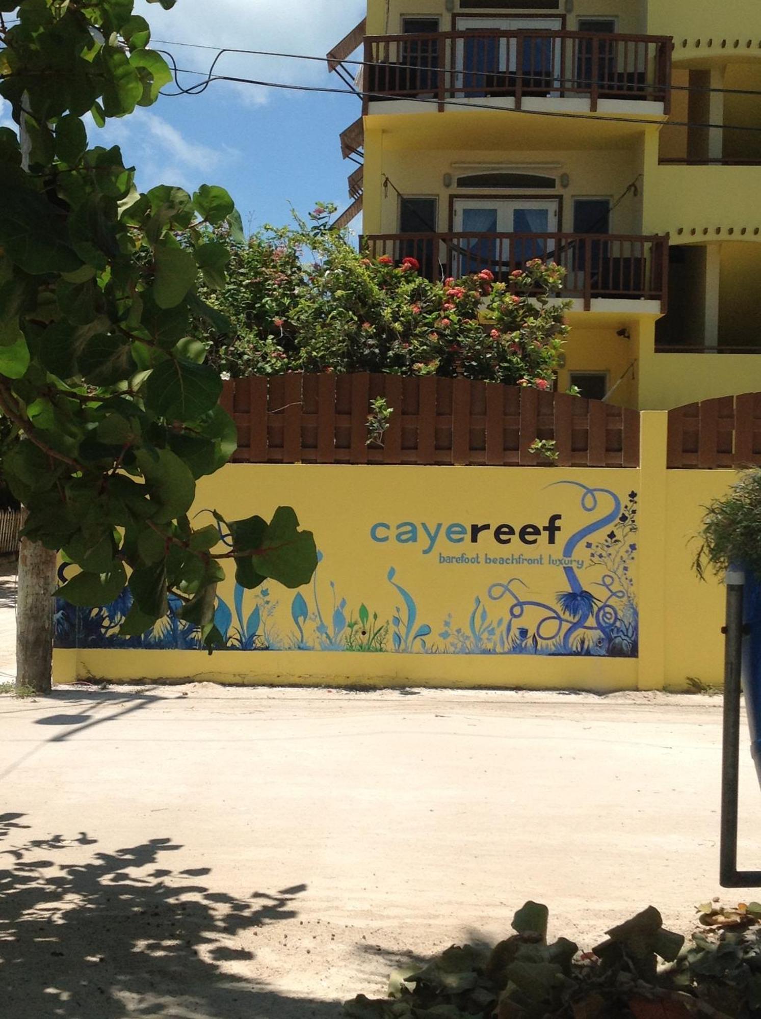 Caye Reef Condos Caye Caulker Room photo