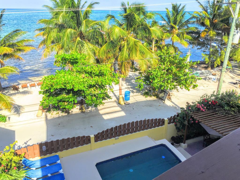 Caye Reef Condos Caye Caulker Room photo